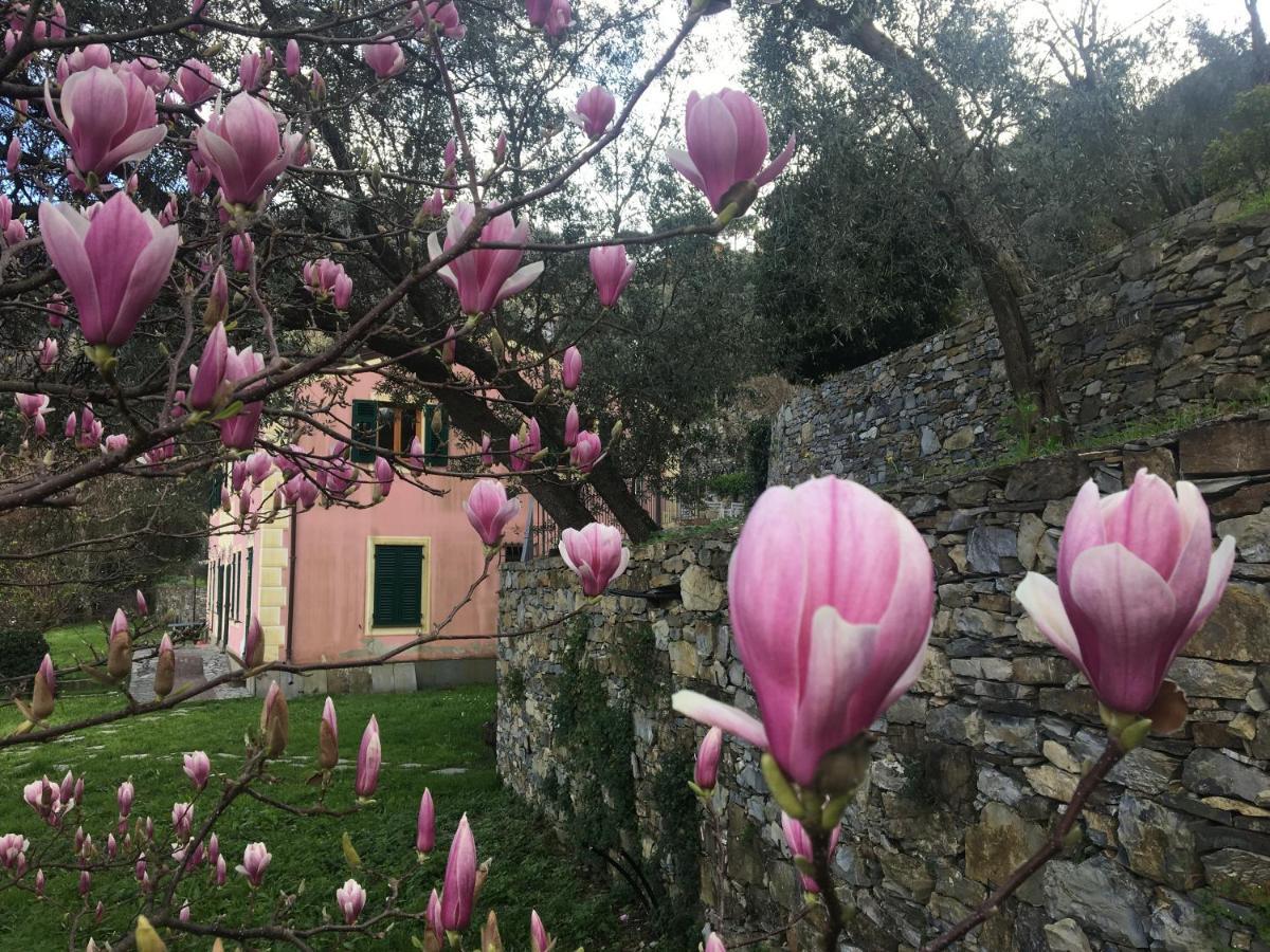Villa Olivari - Apt La Lavanda Camogli Exterior photo