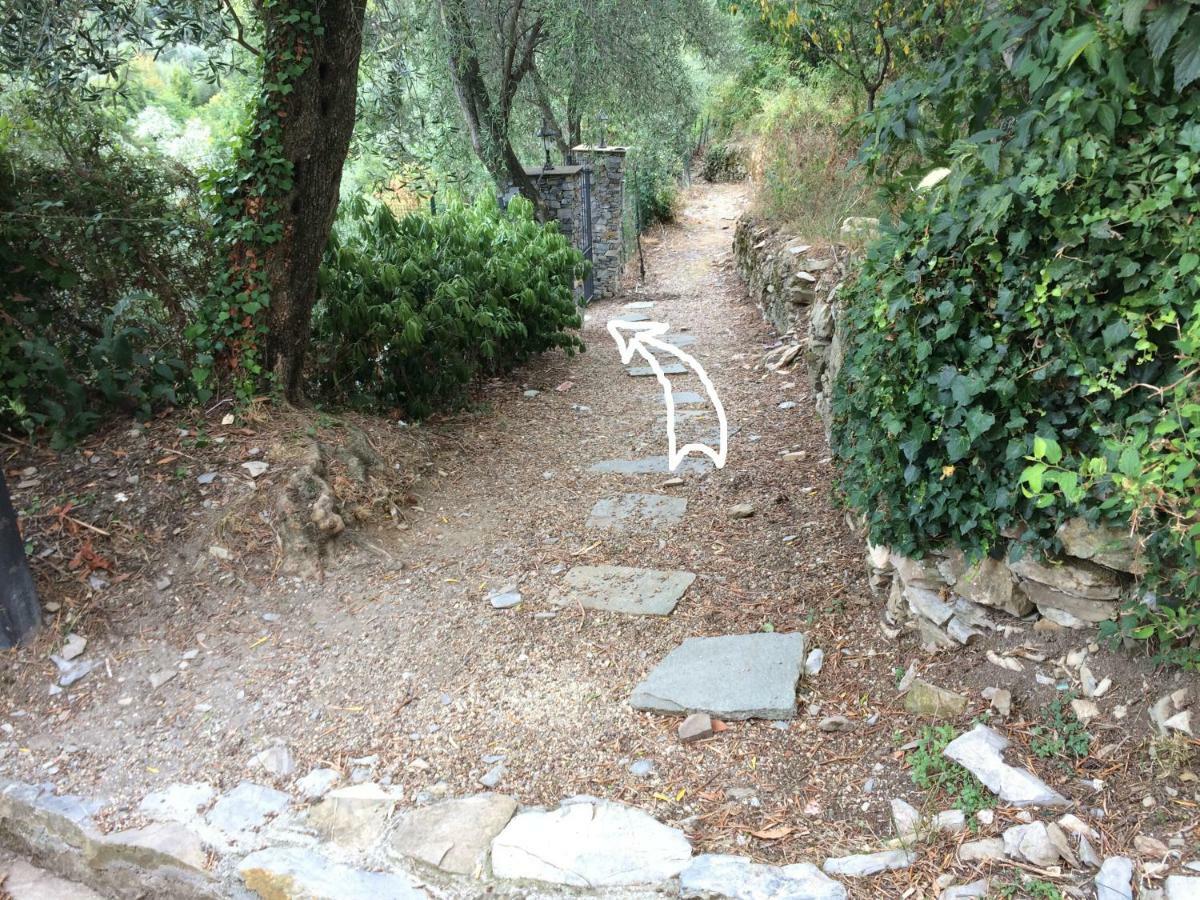 Villa Olivari - Apt La Lavanda Camogli Exterior photo