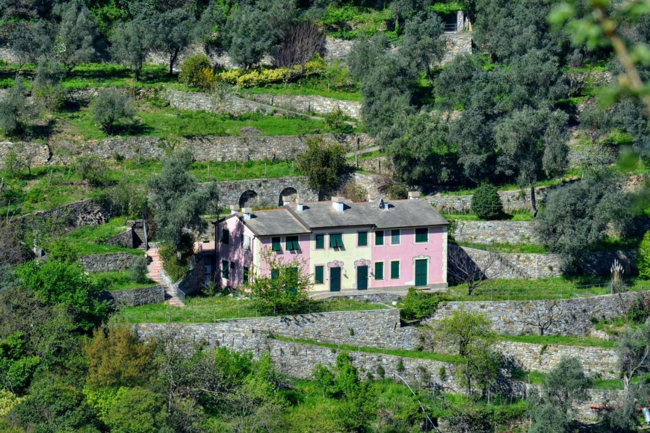 Villa Olivari - Apt La Lavanda Camogli Exterior photo