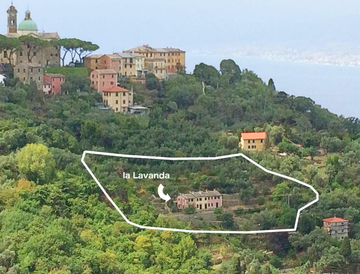 Villa Olivari - Apt La Lavanda Camogli Exterior photo
