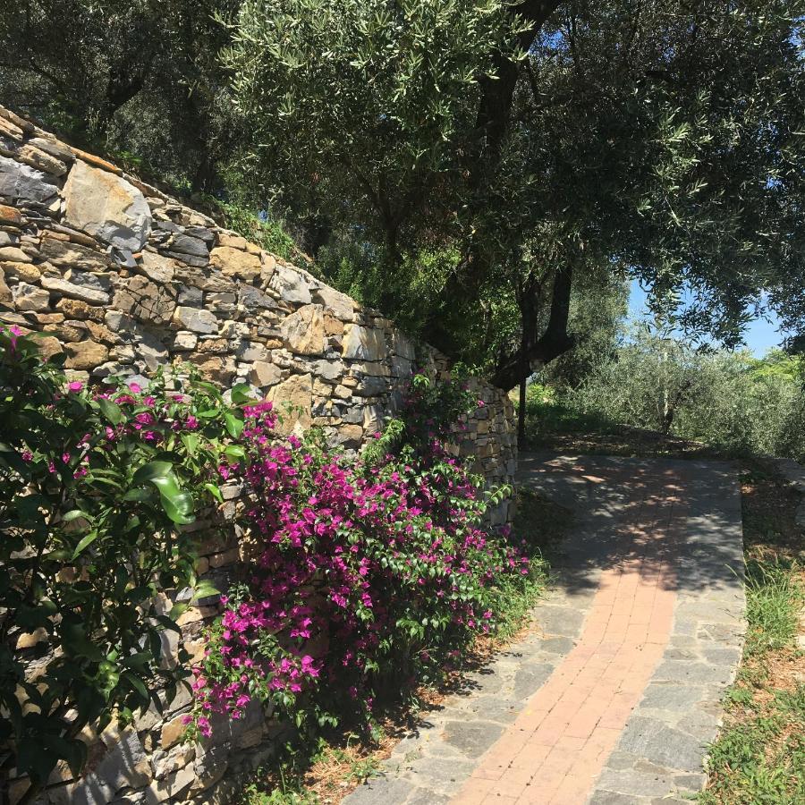 Villa Olivari - Apt La Lavanda Camogli Exterior photo